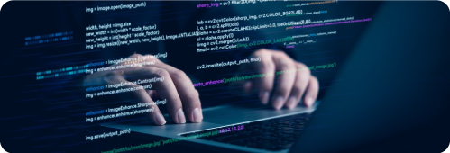 web portal development