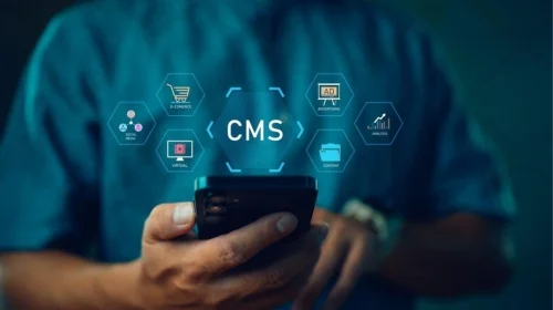 CMS Development