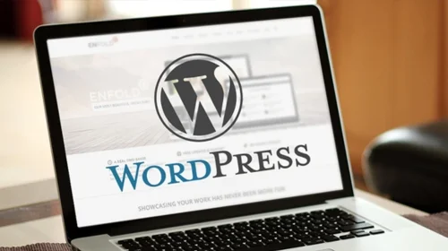 Word Press Development