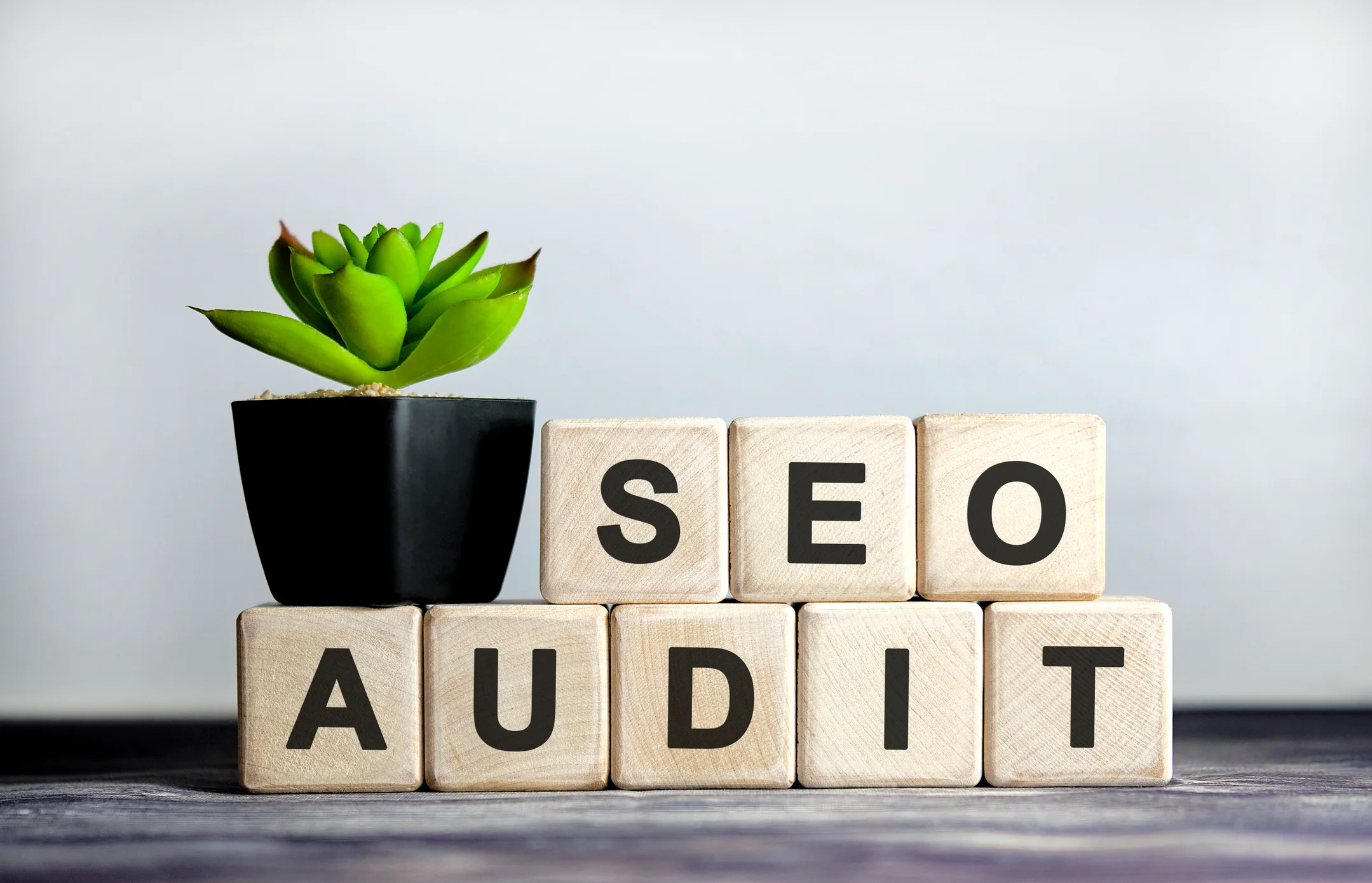 SEO Audit Services