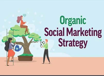 Organic Social Media Marketing